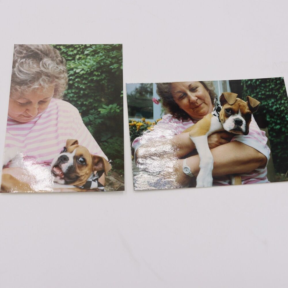 Vintage Photographs Grandma and Puppy Dog Cute Dog Older Women lot of 2